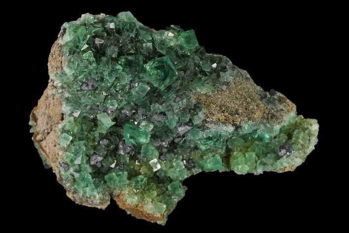Fluorite Crystal Cluster with Galena- Rogerley Mine #135703